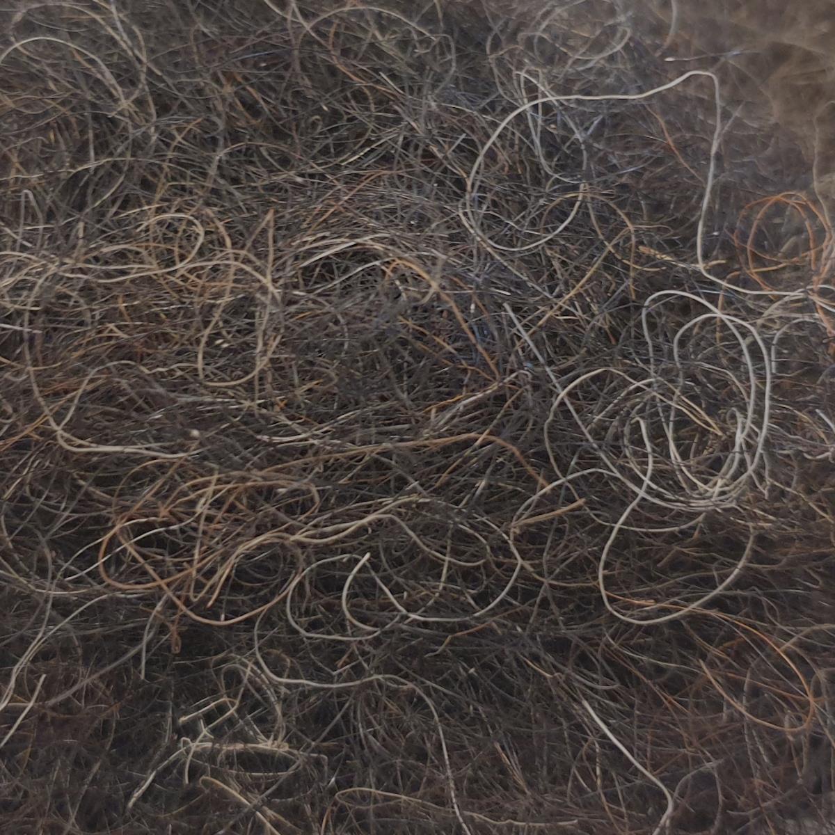 Rosshaar lose, kurzes Schweifhaar & Mähne, VE 1 kg, UV Sack 25
